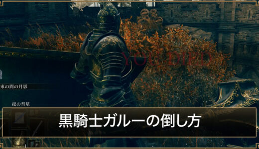【エルデンリング】黒騎士ガルーの出現場所と簡単な倒し方【DLC】
